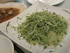 -舌尖上·霞浦滩涂海鲜·新闽菜(总店)