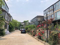 -田园东方蜜桃村的田野营地