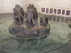 -大庆市博物馆