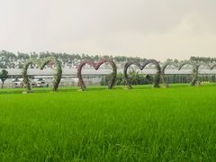 -迪茵湖田家舍生态农场