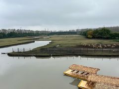 -溱湖国家湿地公园