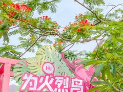 -灵玲国际马戏城