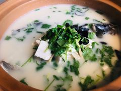 -姜君·千岛湖鱼头馆(浦东大道店)