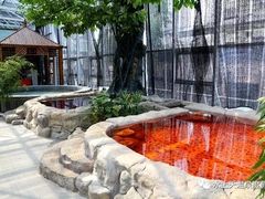 -盛彼得温泉度假酒店