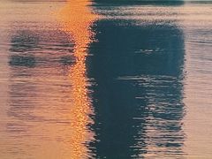 -深圳湾公园(南山区)