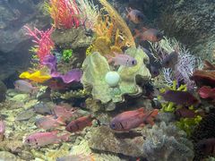 -太平洋海底世界