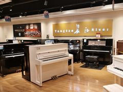 -柏斯音乐艺术中心·钢琴·吉他(上音店)