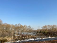 -大兴滨河森林公园