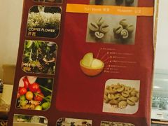 -巴厘岛黄金金兔咖啡工厂