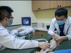 -爱派特动物医院·全科诊疗中心