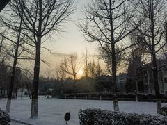 -春晖园度假酒店温泉