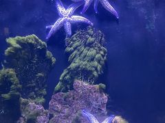 -海合安天津极地海洋公园
