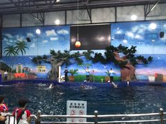 -石家庄市动物园