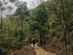 -梧桐山风景名胜区