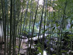 -汇龙潭