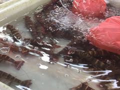 -班赞海鲜市场