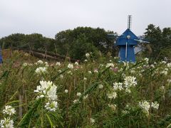 -广州市流溪河国家森林公园
