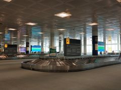 -纽瓦克自由国际机场