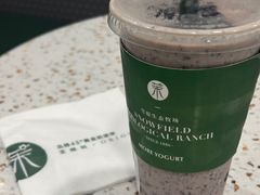 -茉酸奶(春熙路店)