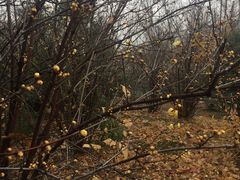 -同济大学(嘉定校区)