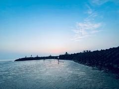 -南汇嘴观海公园