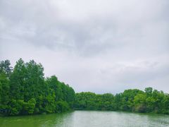 -东湖落雁景区
