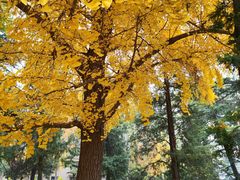 -北京友谊宾馆·聚祥园