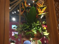 -云海肴·汽锅鸡·云南菜(天山百盛优客店)