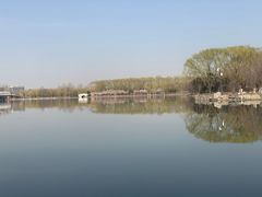 -大兴滨河森林公园