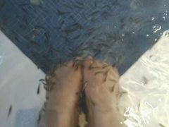 -水晶之星洗浴温泉汗蒸