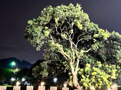 -顺风山庄(水濂山店)