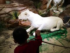 -陕西自然博物馆