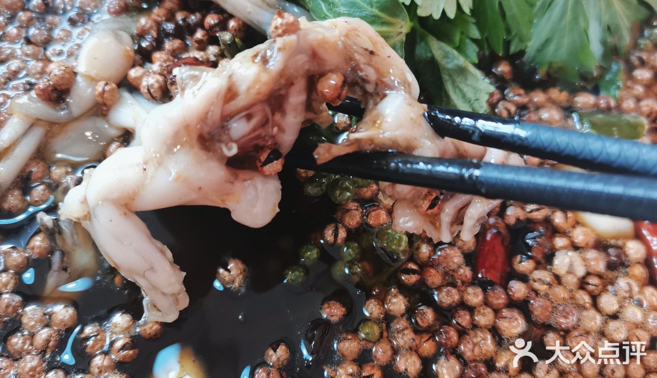 吃一顿蛙蛙，感悟人生:没它健壮？！