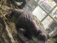 -奥兰多环球影城