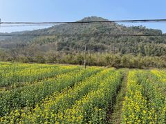 -东钱湖旅游度假区