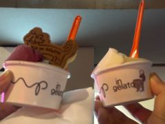 -Dip in Gelato(富民路店)