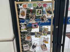-派美特宠物医院·核磁CT·骨科肿瘤·疑难转诊(沈农禾丰店)