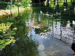 -长白岛森林公园