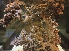 -杭州工艺美术博物馆