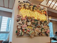 -豆柴町-柴犬主题狗咖(红鼎国际C座店)