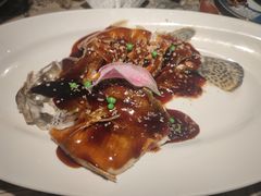 -桂满陇天书(南京德基旗舰店)
