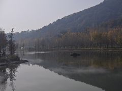 -千年银杏谷文化旅游区