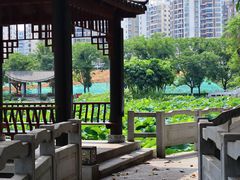 -广西大学(大学东路校区)