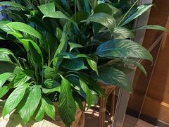 -西贝(六里桥旗舰店)