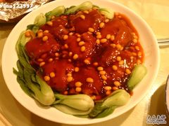黄豆美容蹄-鑫巴蜀(和平里店)