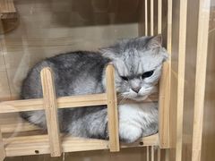-艺味深尝(云锦路店)
