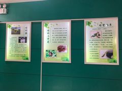 -上海昆虫博物馆