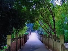 -重庆彩云湖湿地公园