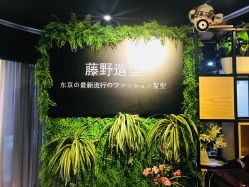 门面-藤野造型