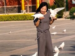 -天津妈祖文化园